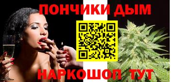 гидра Дубна