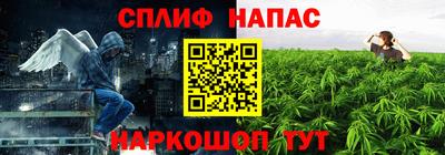 гидра Дубна