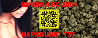 гидра Дубна