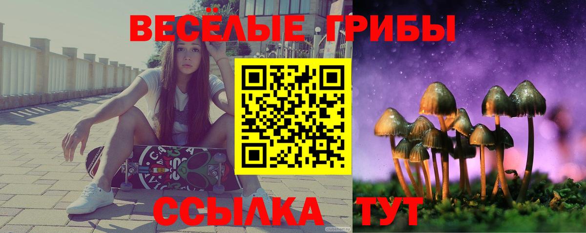 Галлюциногенные грибы мицелий  Псилоцибиновые грибы Psilocybe  Вход с VPN  Михайловка 